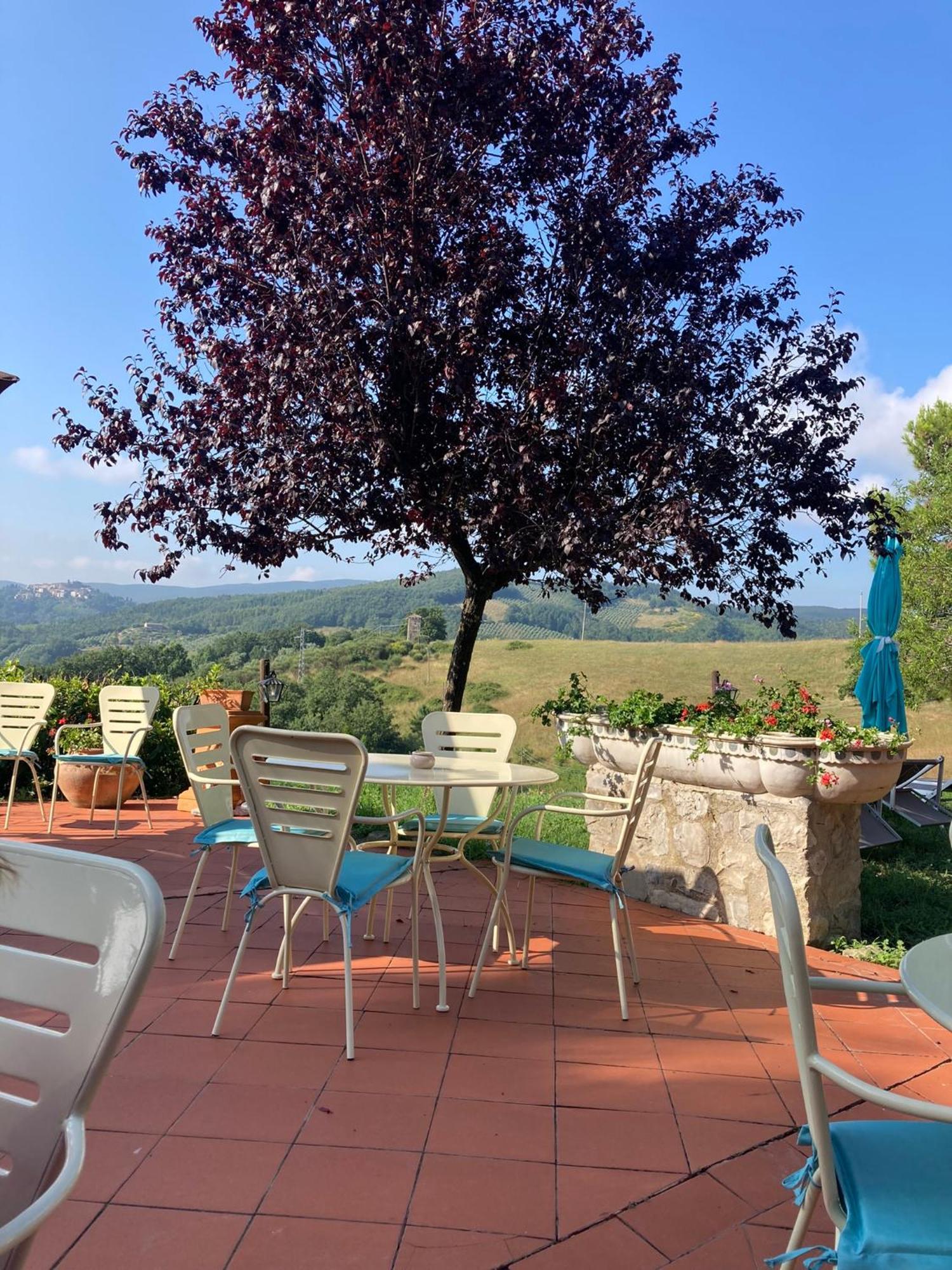 Country House La Collina Di Bargiano - Casa Raffaella Allerona Exteriér fotografie